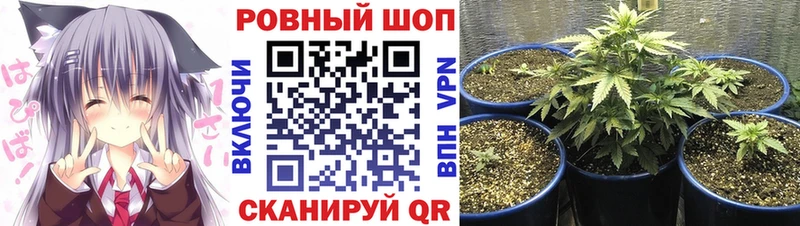 Все наркотики Орехово-Зуево ГАШИШ  Каннабис  Псилоцибиновые грибы  A PVP  АМФЕТАМИН  МЕФ  КОКАИН 