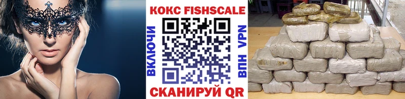 мориарти формула  Орехово-Зуево  COCAIN Эквадор 