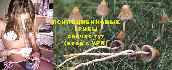 ешки Алексеевка